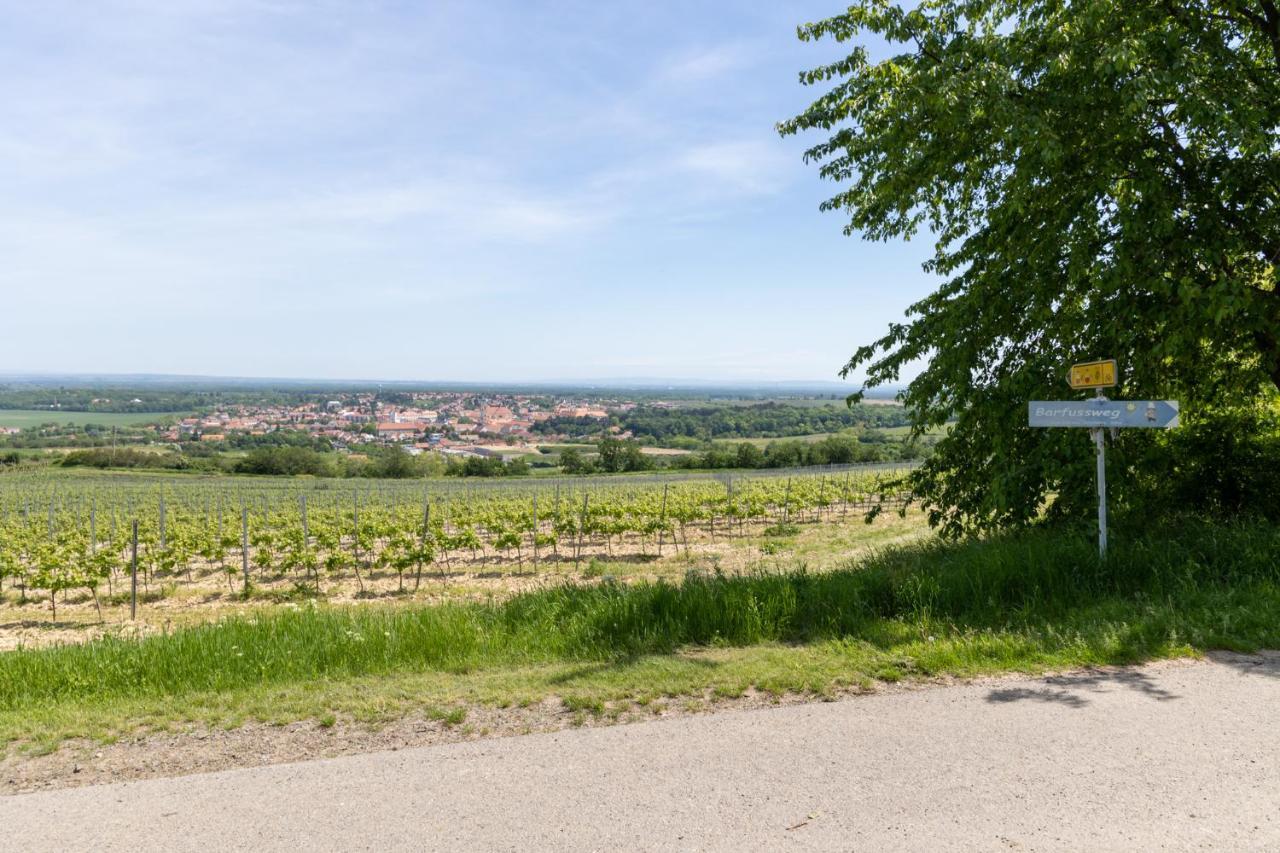 Penzion Alenka Valtice Exteriör bild